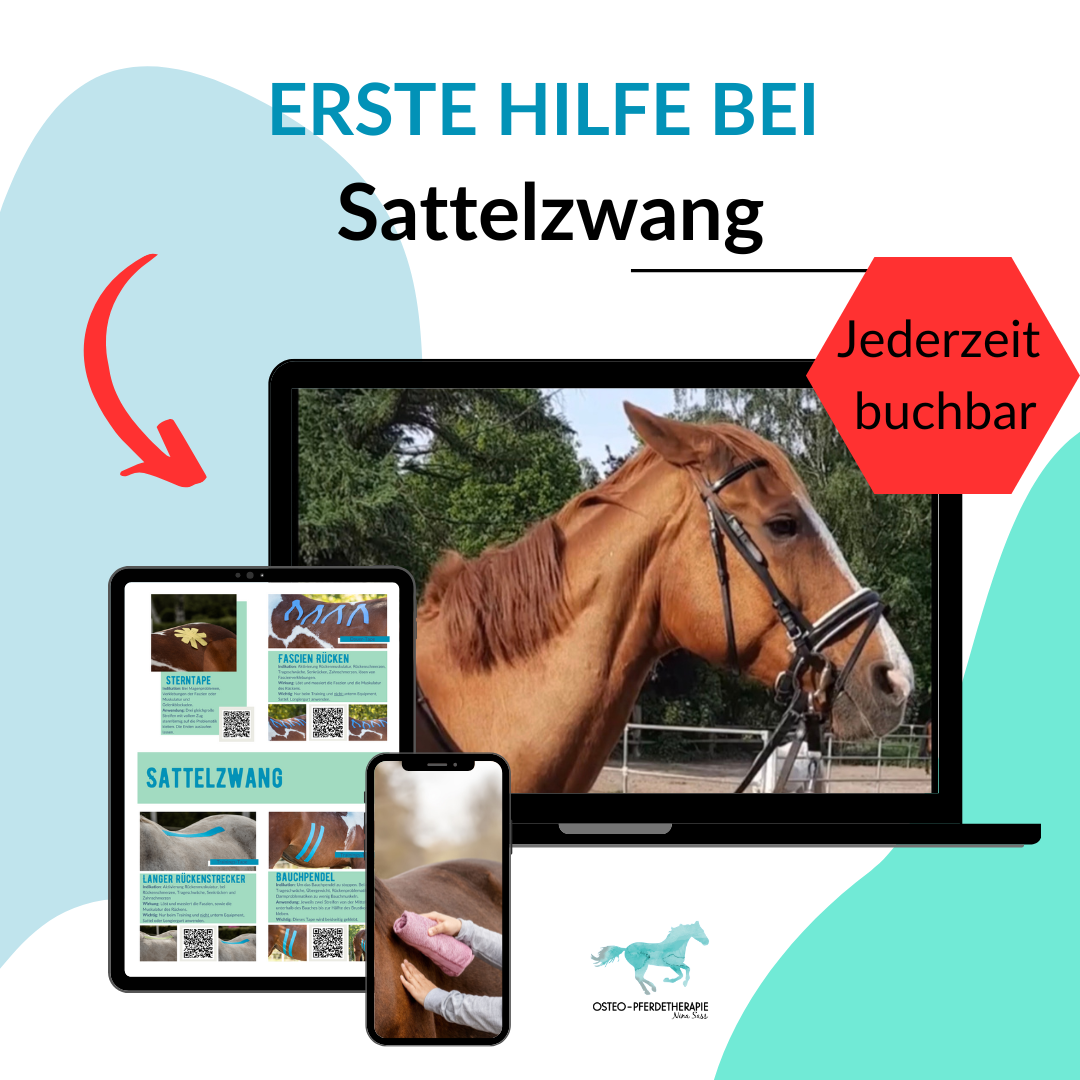 Sattelzwang