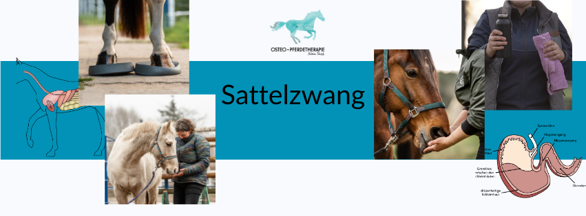 Sattelzwang