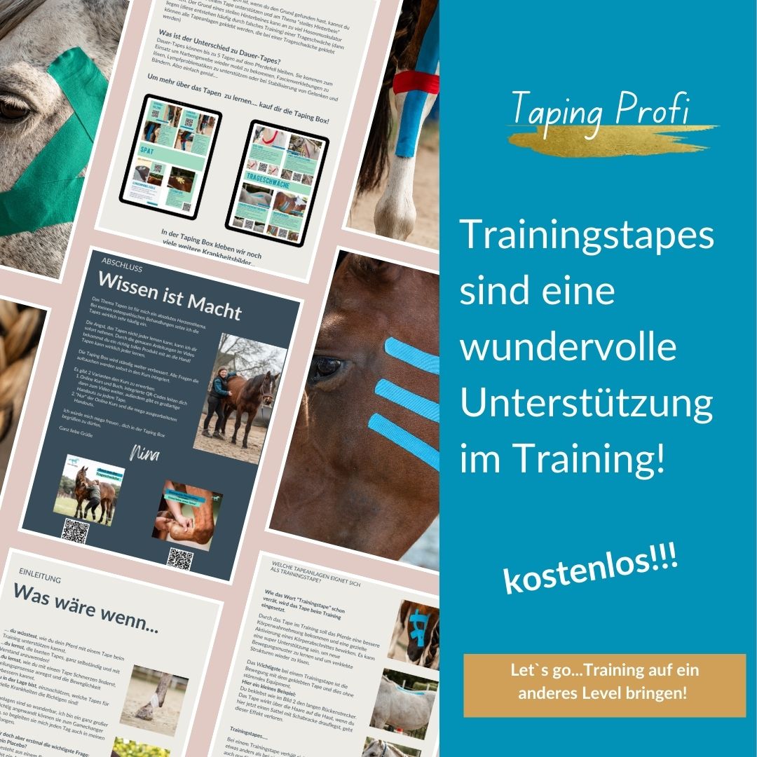 Trainingstape Pferde