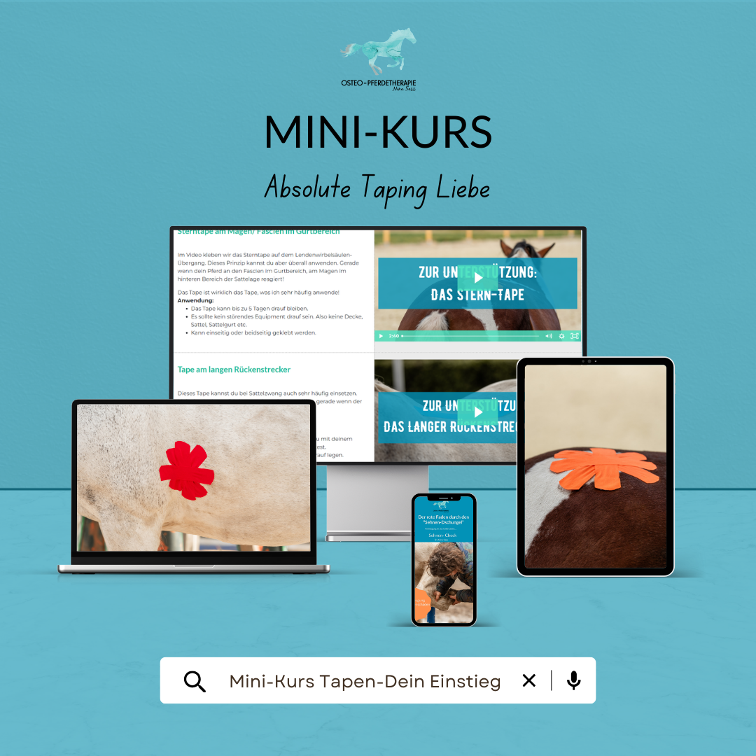 Taping Einstieg Mini Kurs Tapen