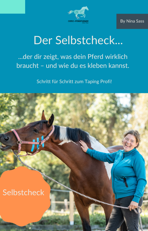 Taping Starter Guide 0€ Tapen lernen