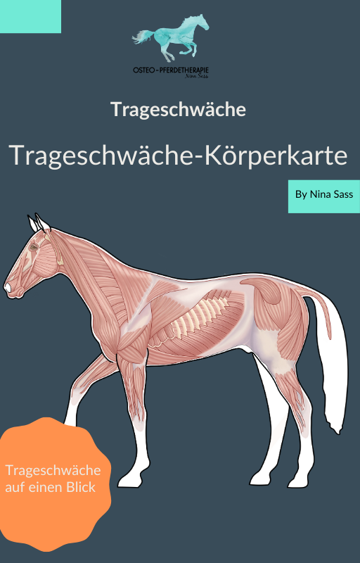 Trageschwäche (16) Trageschwäche Körperkarte