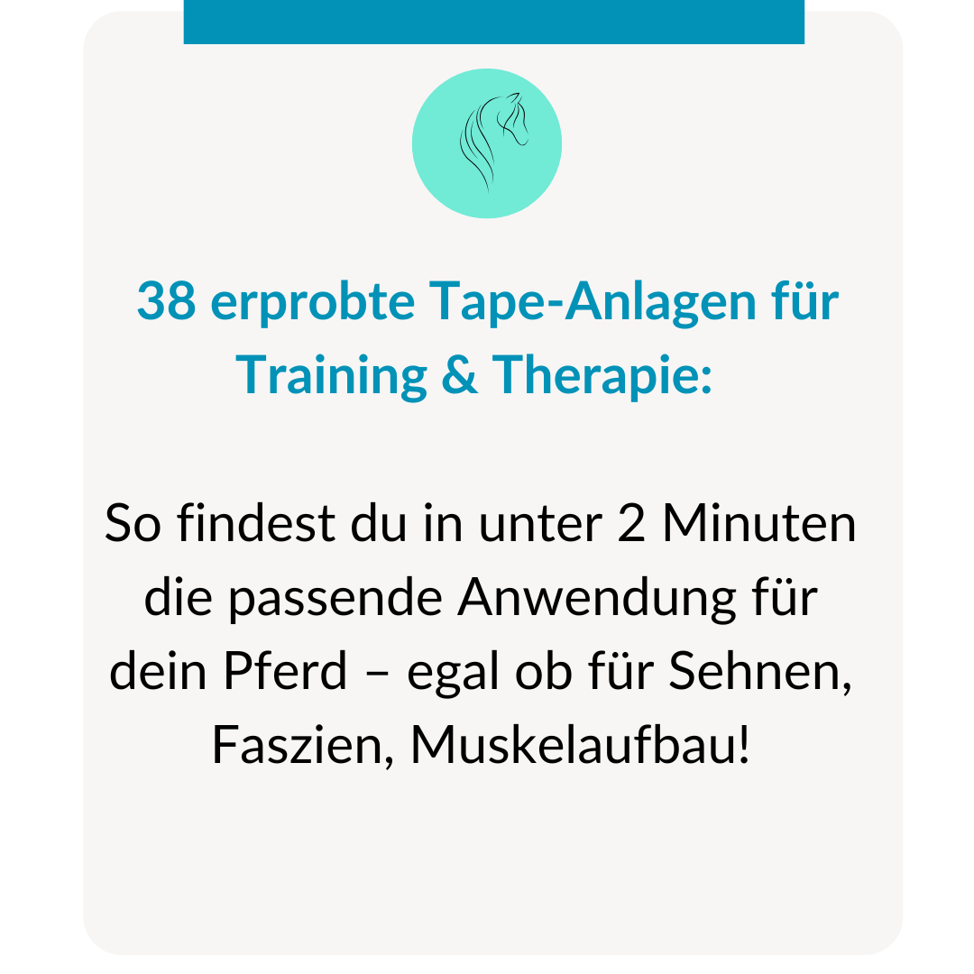 Taping box Taping Pferd