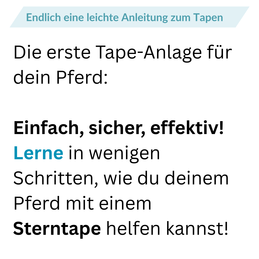 Taping lernen Schritt für Schritt Tapen lernen