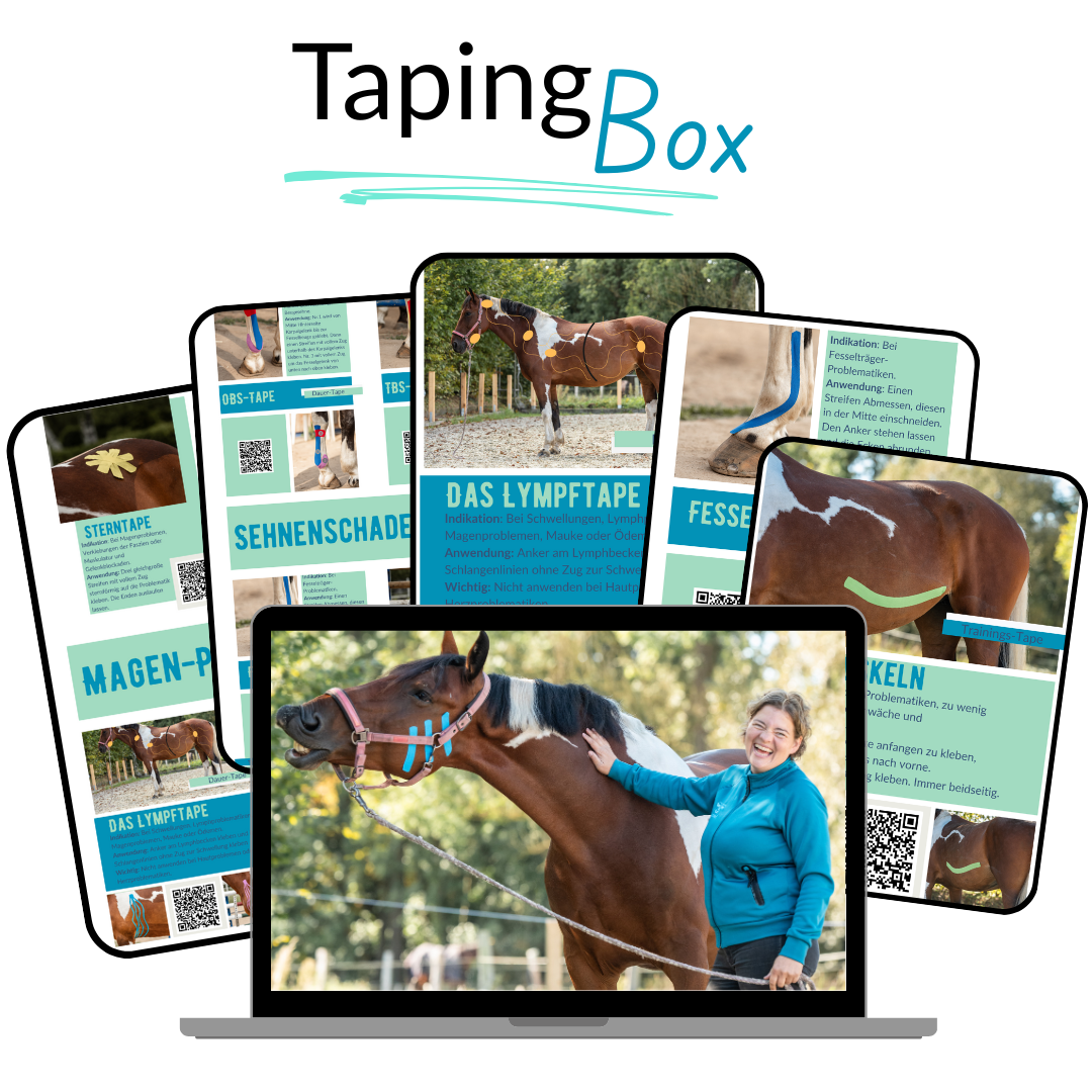 Tapen lernen Schritt für Schritt Taping Box