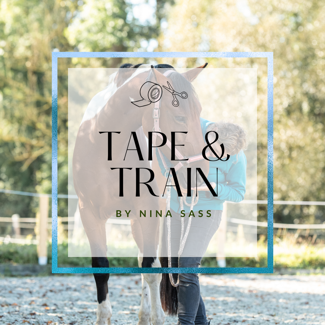 Tape & Train (4) Training und Tape kombinieren