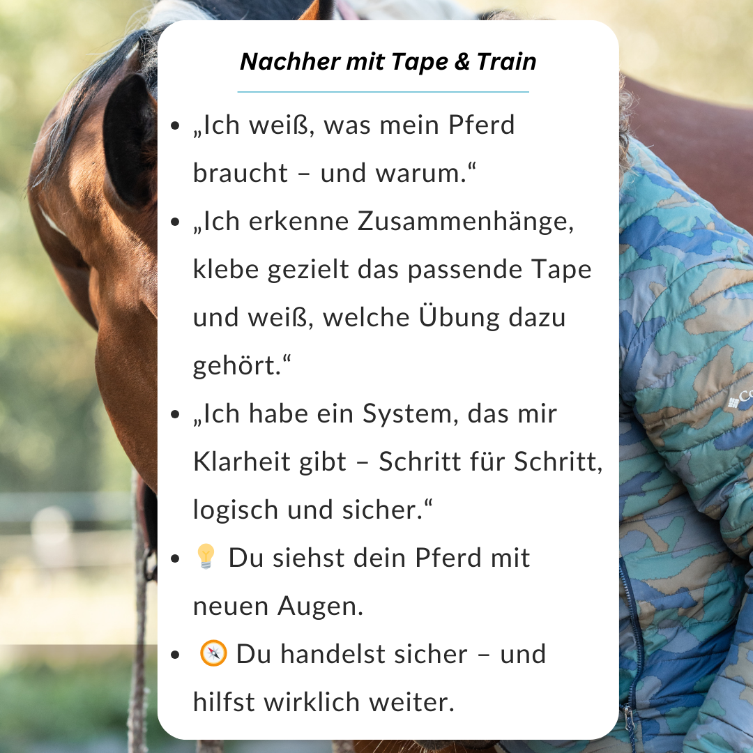 Tape & Train (6) Trainingstape und Exteriueranalyse