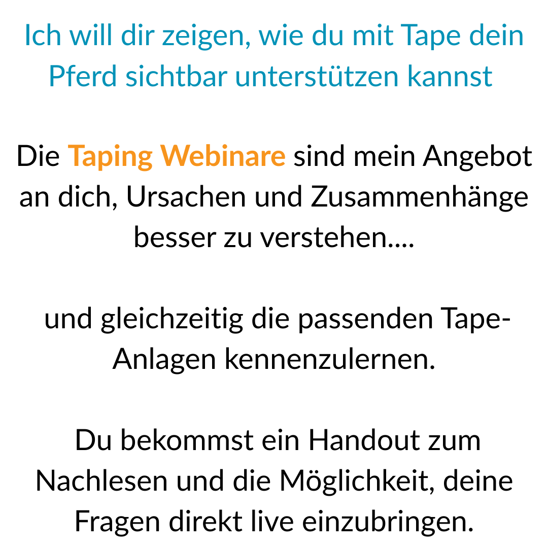 Tapen lernen Taping Webinare